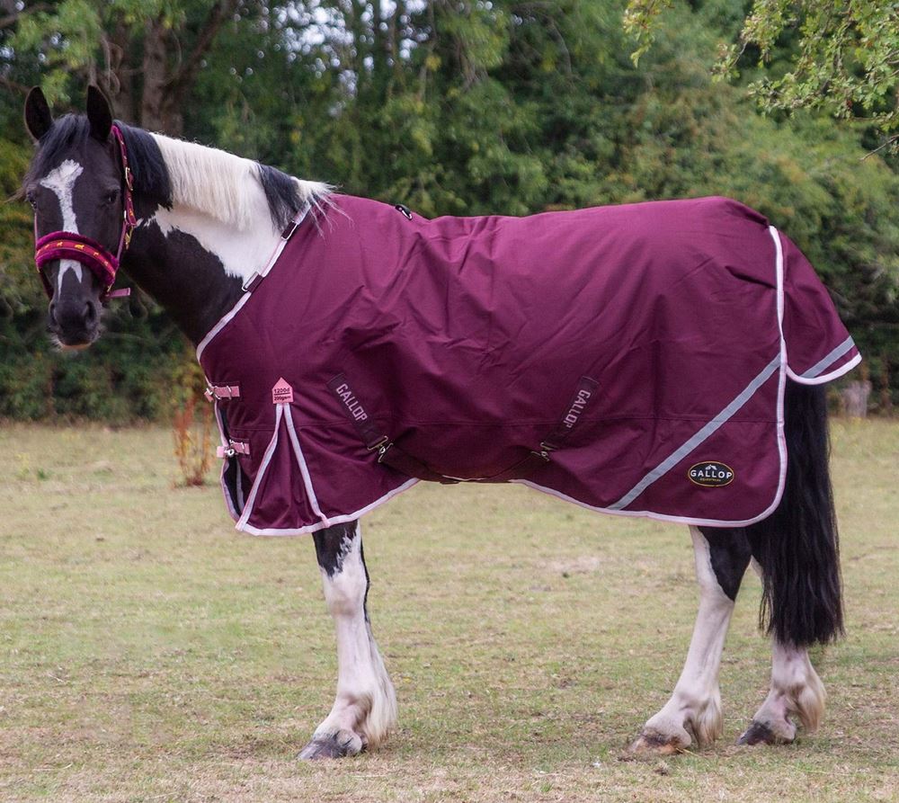 Gallop TROJAN Xtra Duraproof 200g 5-Point Standard Neck Turnout (Burgundy with Pink/White bindings)