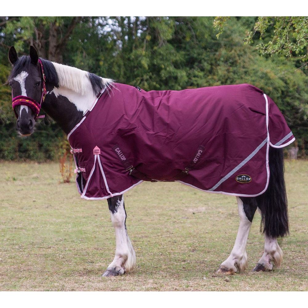Gallop TROJAN Xtra Duraproof 200g 5-Point Standard Neck Turnout (Burgundy with Pink/White bindings)