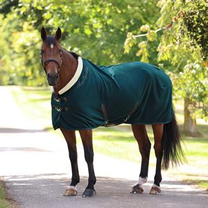 Shires Deluxe Fleece Rug (Green)