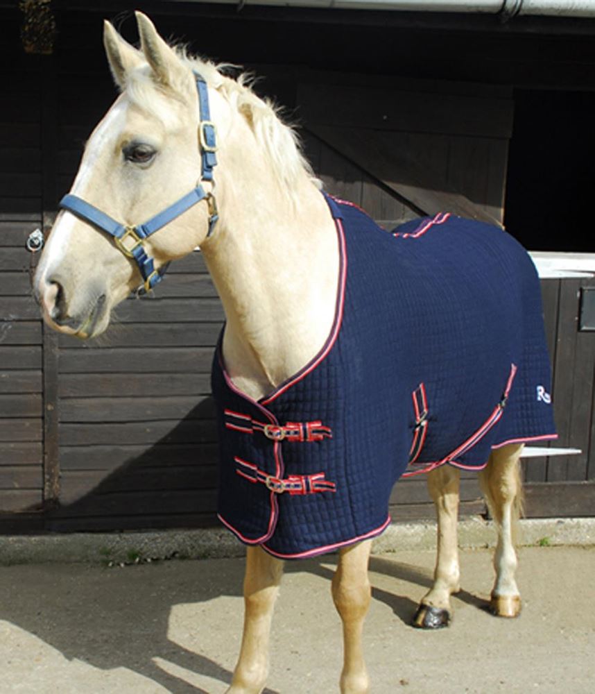 Rhinegold Premium Tech Celltex Cooler Rug (Navy)