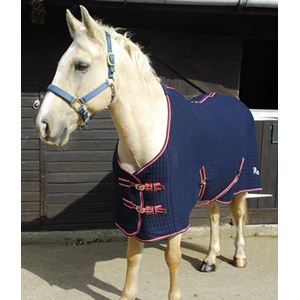 Rhinegold Premium Tech Celltex Cooler Rug (Navy)