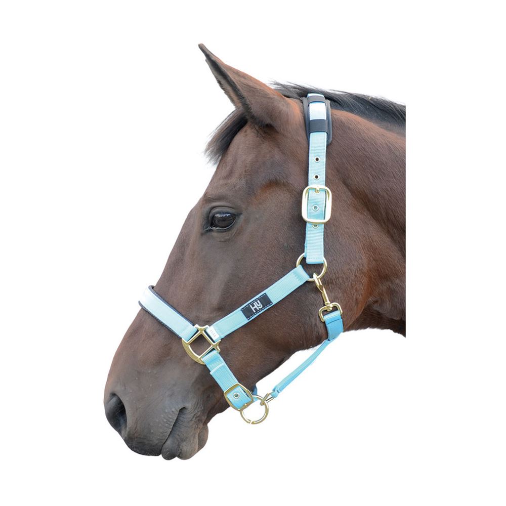 Hy Deluxe Padded Head Collar