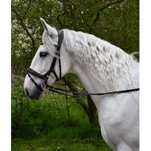 Rhinegold Luxe Anatomical Leather Flash Bridle