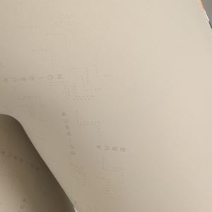 Shires Aubrion Optima Ladies Sport Riding Tights (Beige)