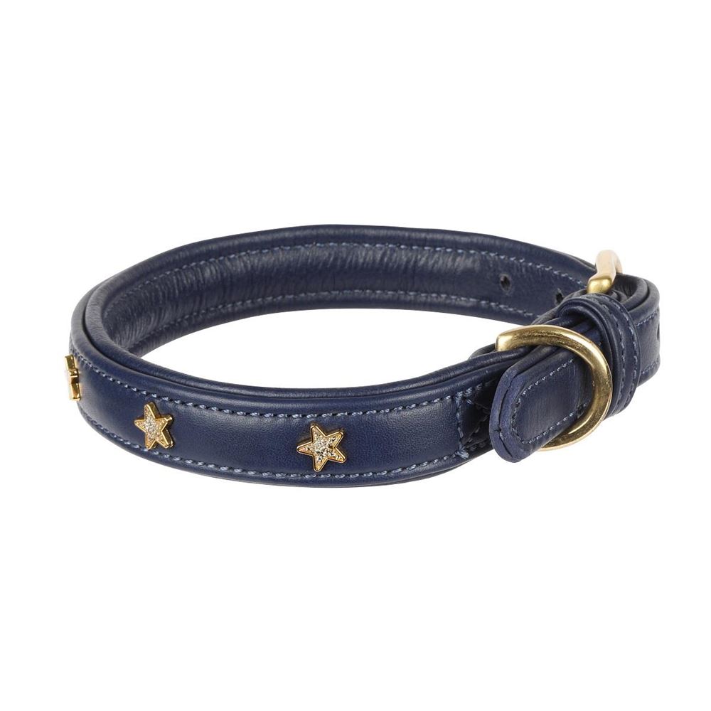 Digby & Fox Star Dog Collar (Navy)