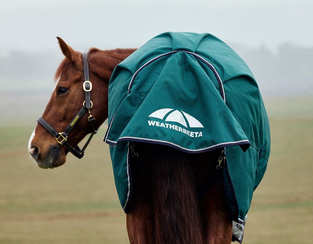 Weatherbeeta Comfitec Plus Dynamic Turnout High Neck - 100g (Forest Green/Navy)