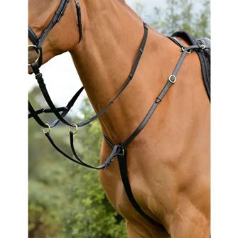 Kincade Classic 3 Point Breastplate with Running Martingale (Black)