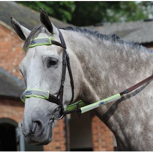 Weatherbeeta 4 Piece Reflective Bridle Kit