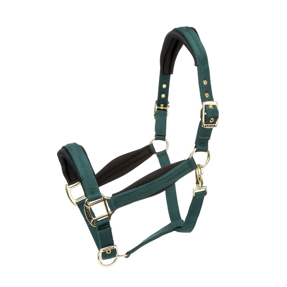 Shires Arma Padded Headcollar (Green)