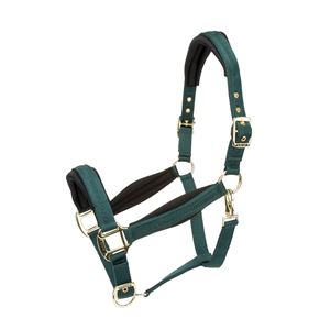 Shires Arma Padded Headcollar (Green)