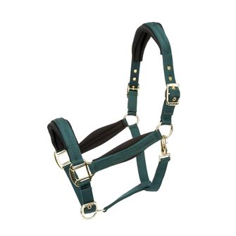 Shires Arma Padded Headcollar (Green)
