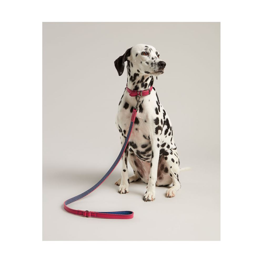Joules Leather Dog Lead