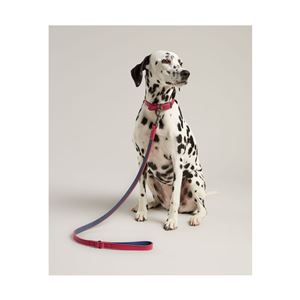 Joules Leather Dog Lead
