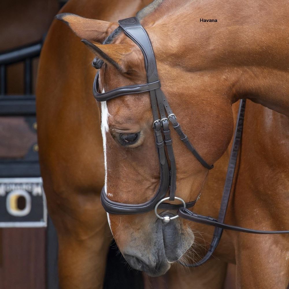 Shires Velociti RAPIDA Ergononic Curved Cavesson Bridle