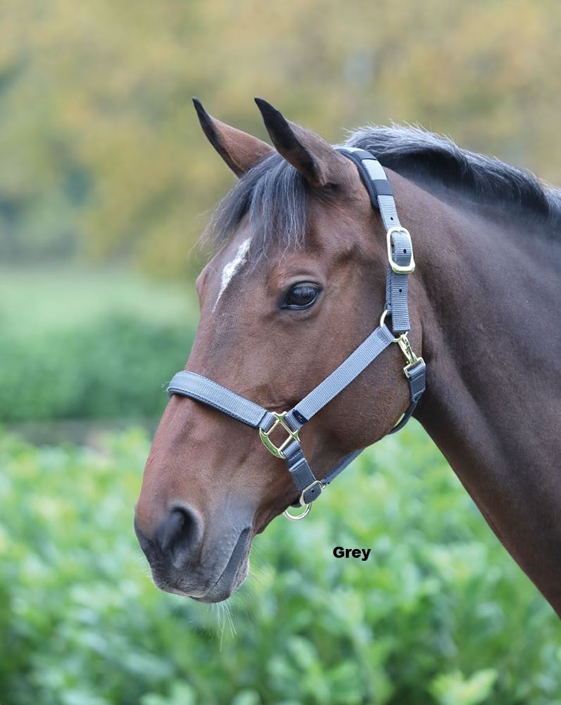 Shires Topaz Nylon Headcollar