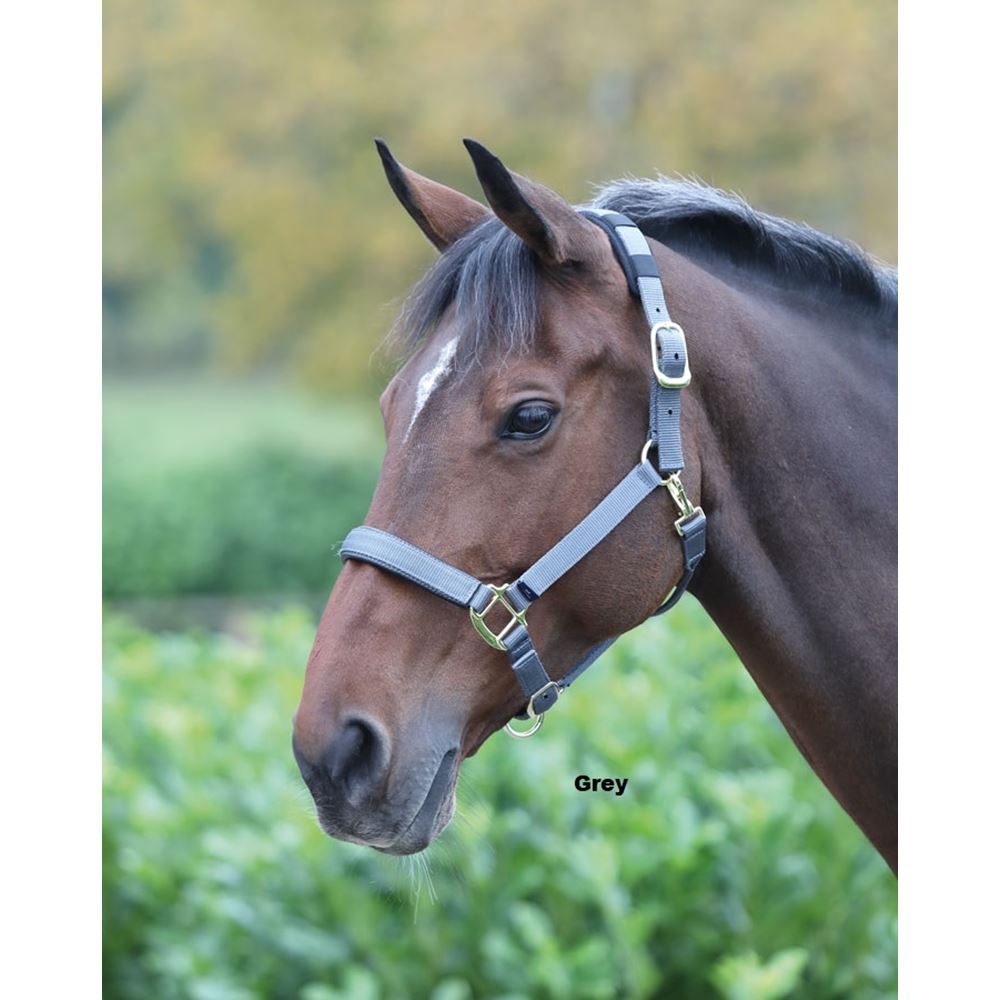 Shires Topaz Nylon Headcollar