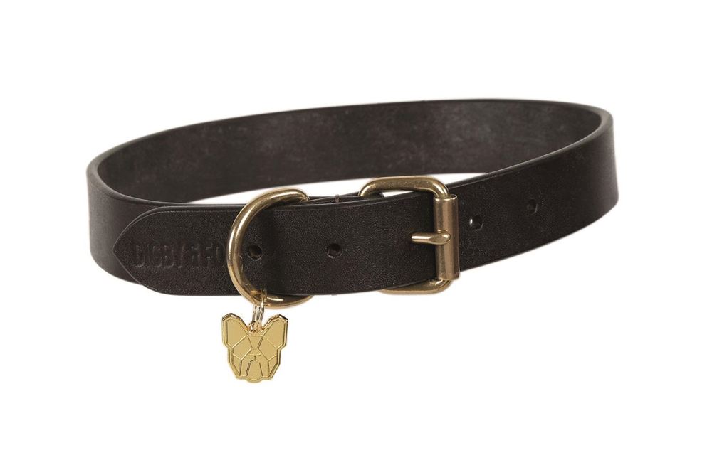 Shires Digby & Fox Flat Leather Dog Collar