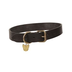 Shires Digby & Fox Flat Leather Dog Collar
