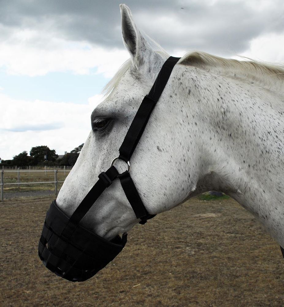 Rhinegold Grazing Muzzle