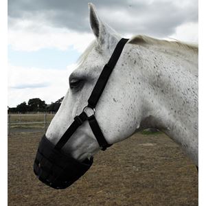 Rhinegold Grazing Muzzle