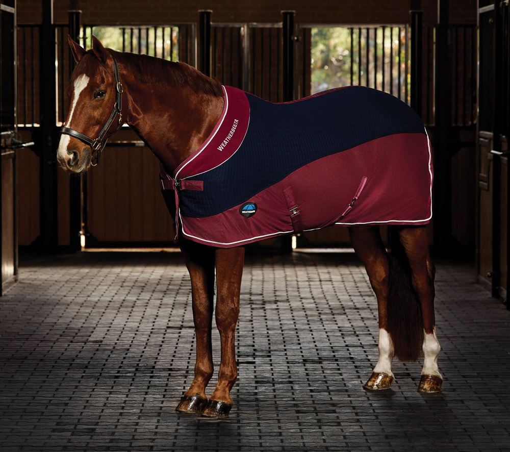 Weatherbeeta Therm-Air Cooler Standard (Navy/Burgundy)