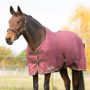 Hy Equestrian StormX Empra Luxury Show Rug (Burgundy/Cream)