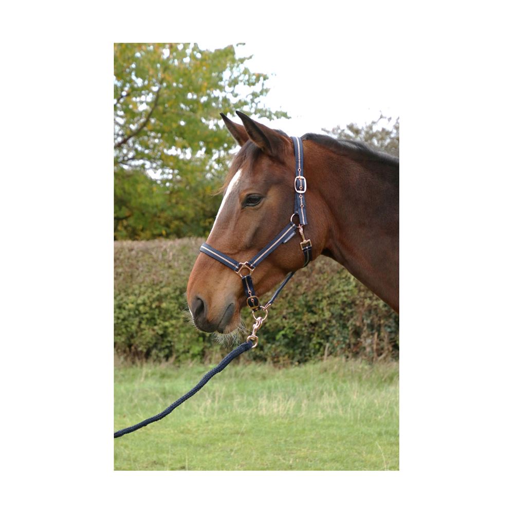 Hy Equestrian Rose Glitter Head Collar and Lead Rope Set (Navy)