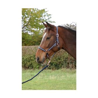 Hy Equestrian Rose Glitter Head Collar and Lead Rope Set (Navy)