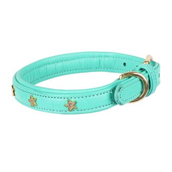 Shires Digby & Fox Star Dog Collar - L, XL, XXL (Teal)