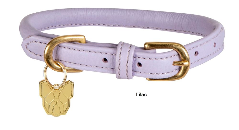 Shires Digby & Fox Rolled Leather Dog Collar (XXXS - XXS)