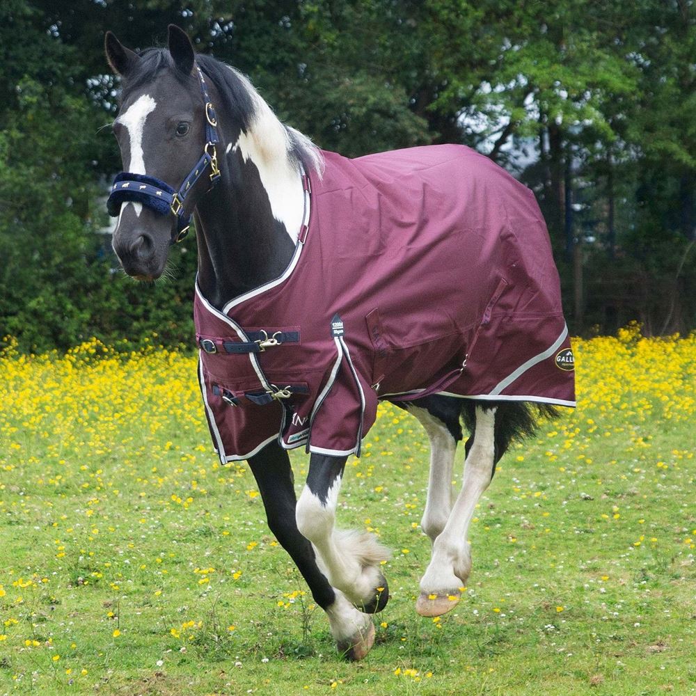 Gallop Trojan Xtra DURAPROOF 50g Standard Neck Turnout Rug (Burgundy/White/Purple)