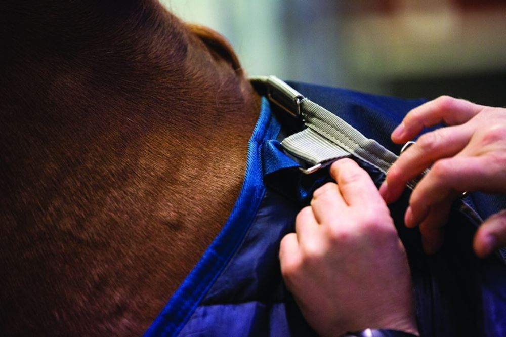 Horseware Liner Under Rug 100g