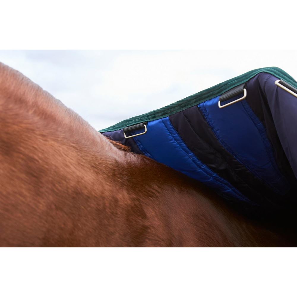 Weatherbeeta Comfitec Plus Dynamic Turnout Standard - 220g (Navy/Forest Green)