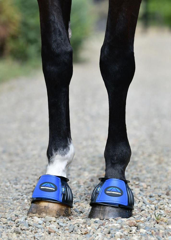 Weatherbeeta Tough-Tec Prime Rubber Bell Boots (Black/Cobalt)