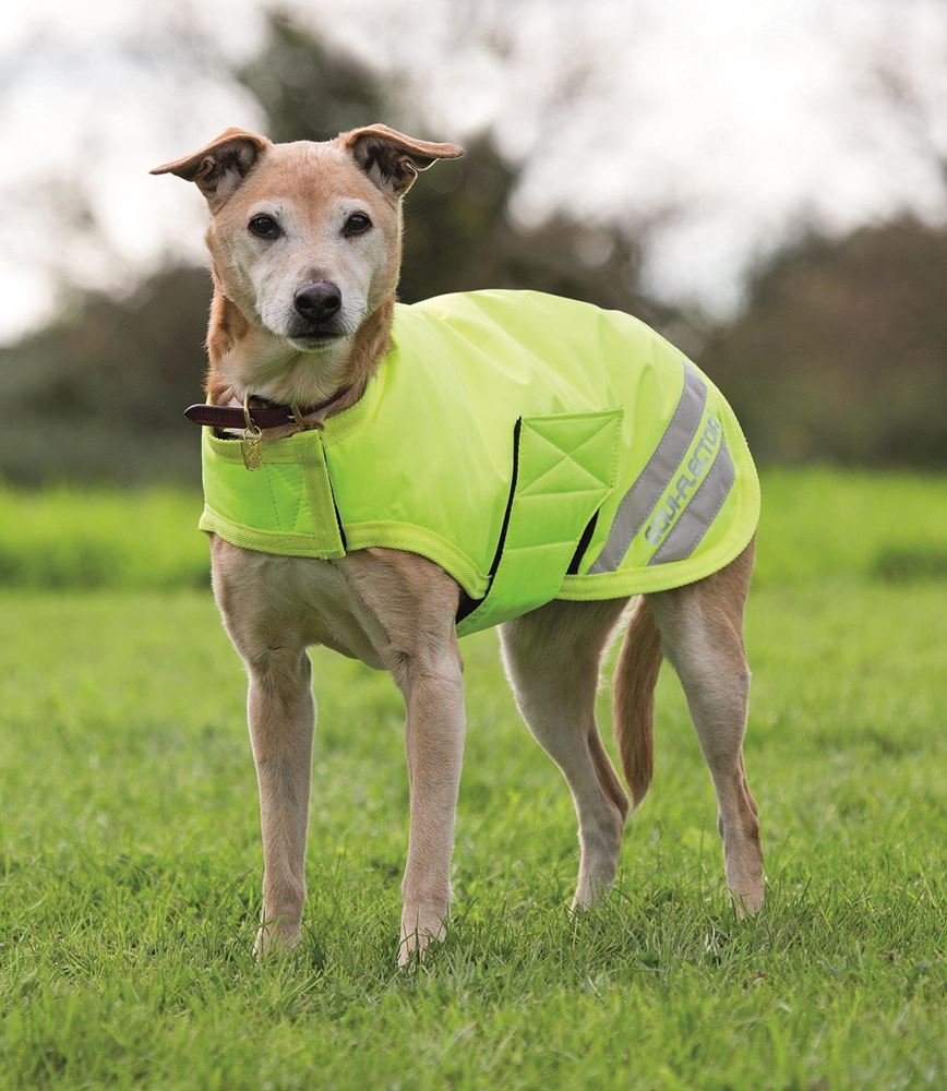 Shires EQUI-FLECTOR® Waterproof Dog Coat XXXS-S