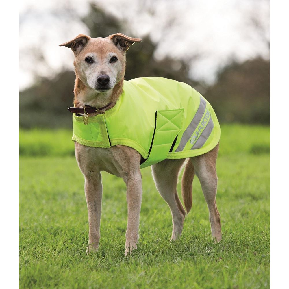 Shires EQUI-FLECTOR® Waterproof Dog Coat XXXS-S