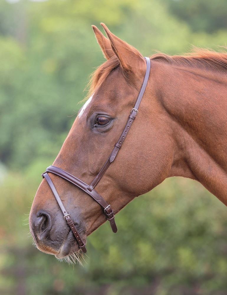 Shires Blenheim Flash Noseband