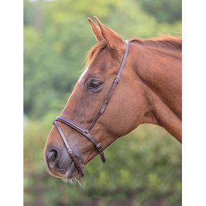 Shires Blenheim Flash Noseband
