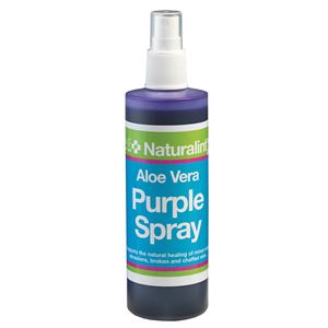 NAF NaturalintX Aloe Vera Purple Spray (240ml)