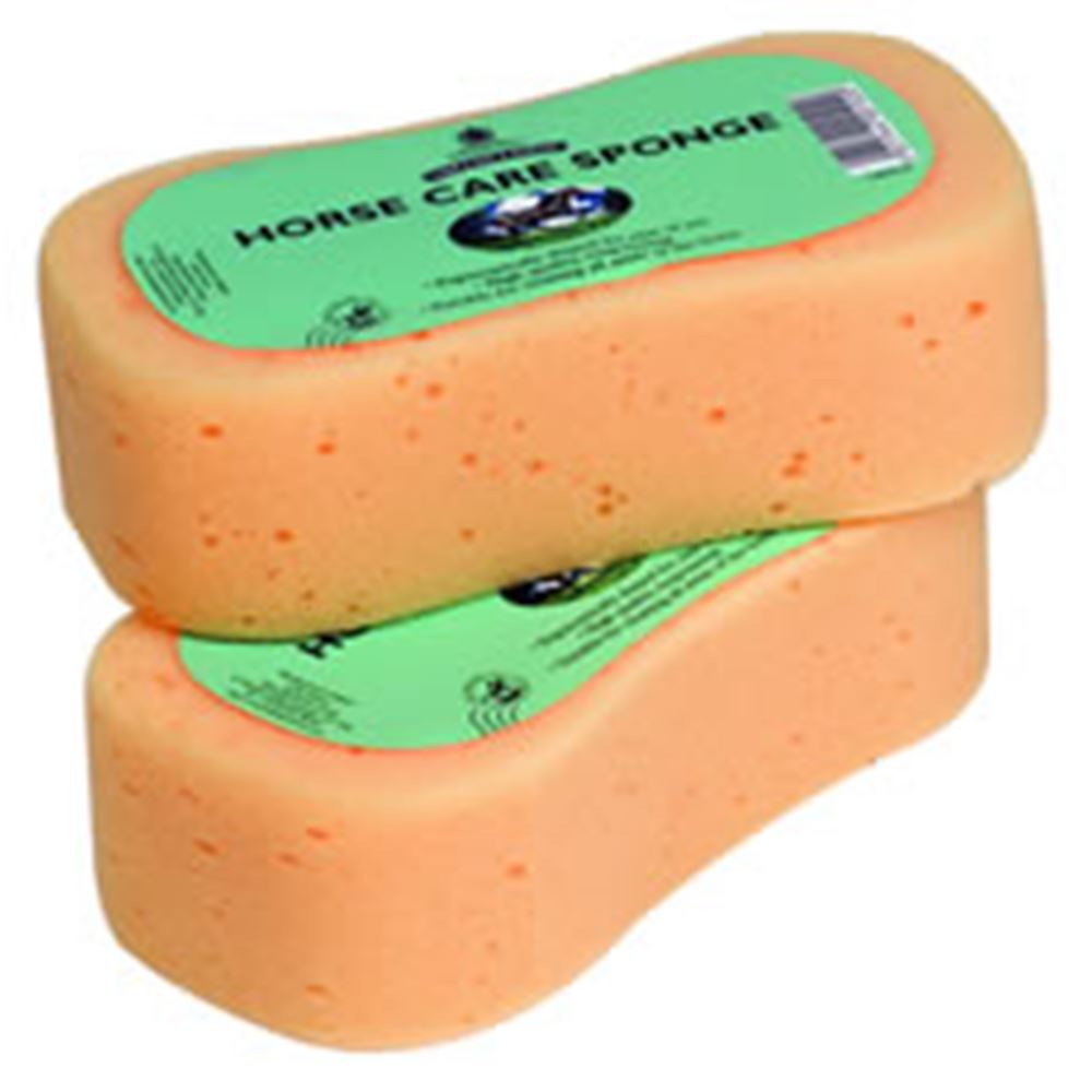 Horse Care Sponge