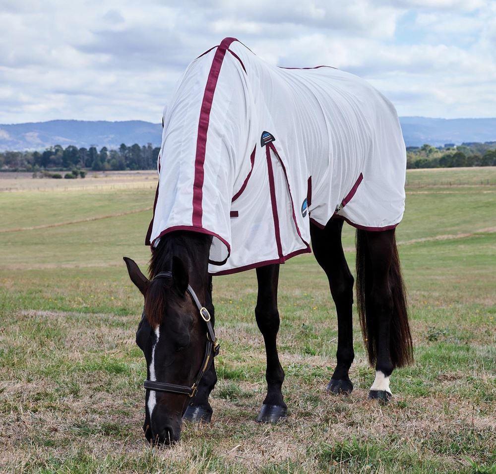 WeatherBeeta ComFiTec Essential Fly Sheet Combo (White/Burgundy)