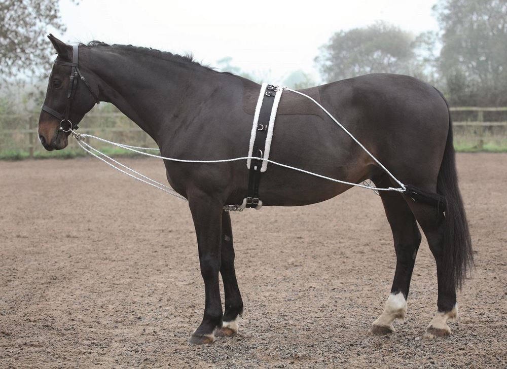 Shires Lunging Aid (Pessoa Training Aid Style)