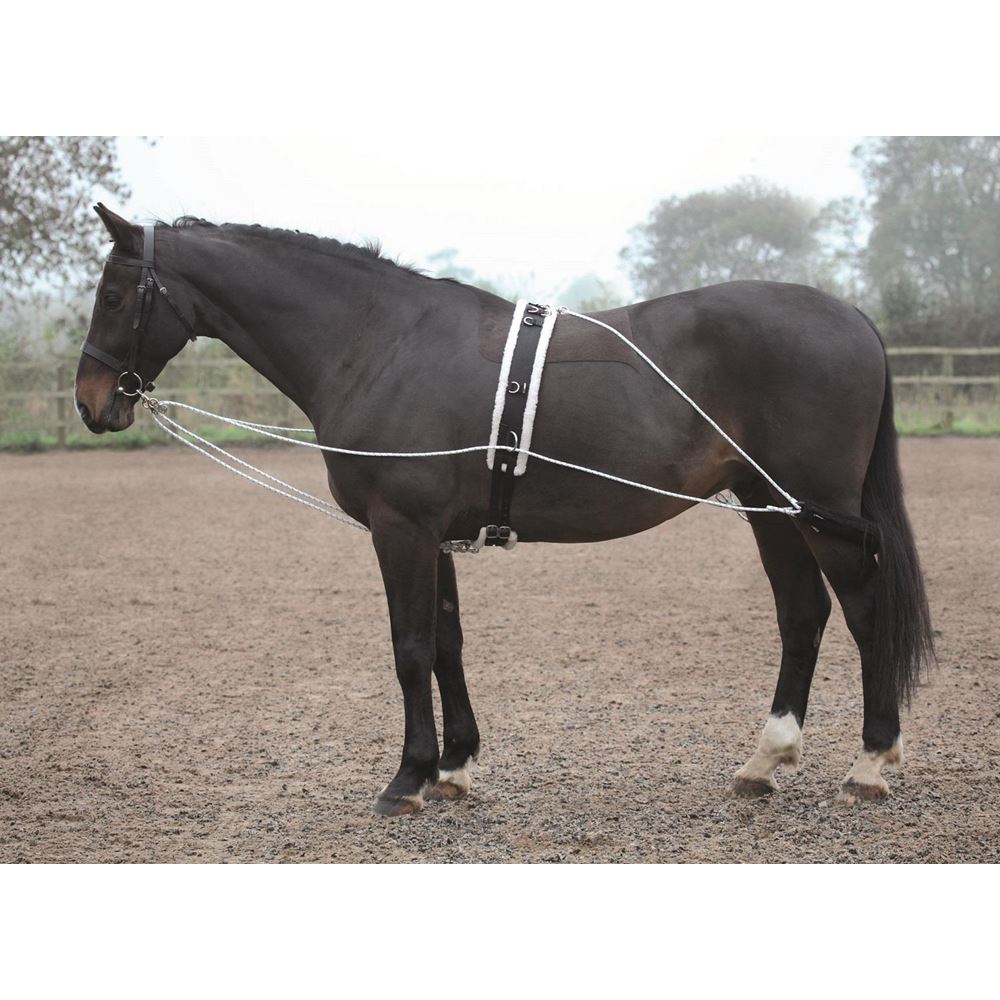 Shires Lunging Aid (Pessoa Training Aid Style)
