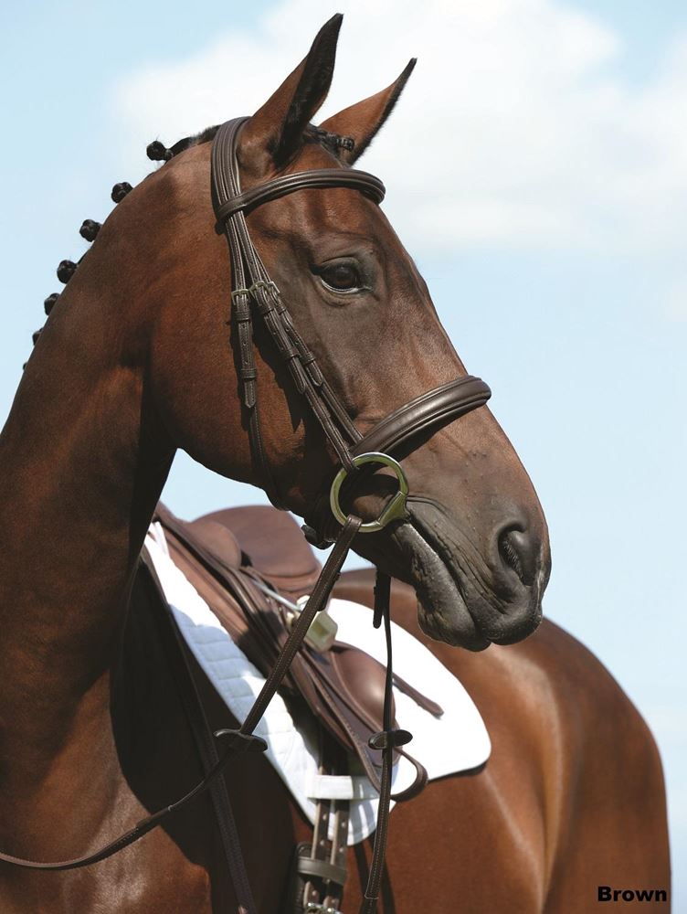 Collegiate Syntovia+ Padded Raised Cavesson Bridle