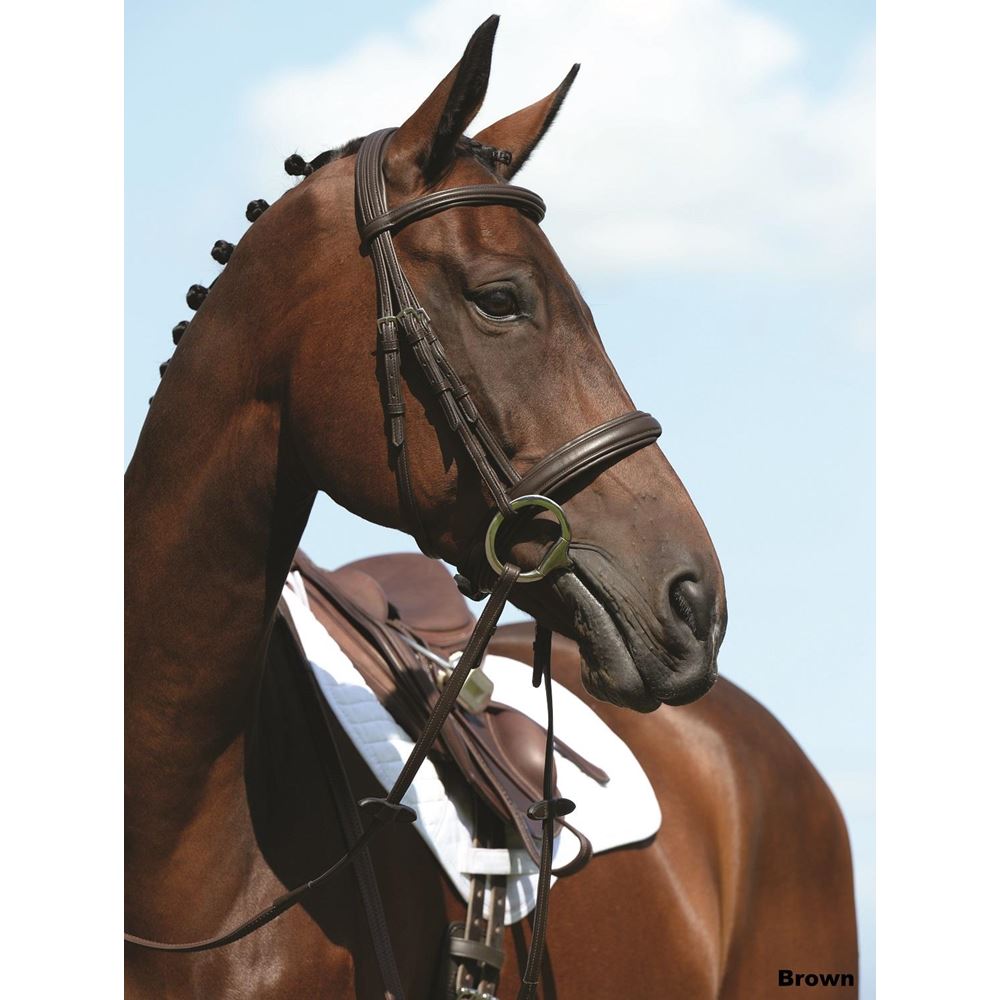 Collegiate Syntovia+ Padded Raised Cavesson Bridle