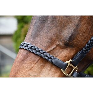 Rhinegold Lazio Plaited Leather Headcollar With Matching Leather Lead