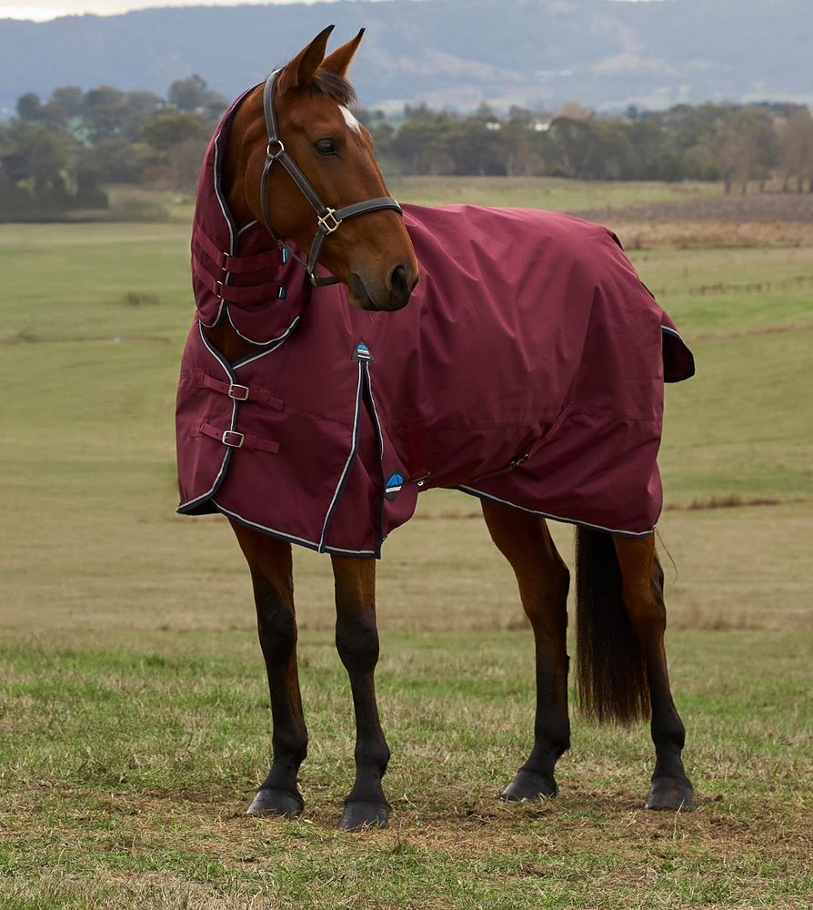 Weatherbeeta Comfitec Prelim Turnout Combo - 220g (Burgundy/Navy)