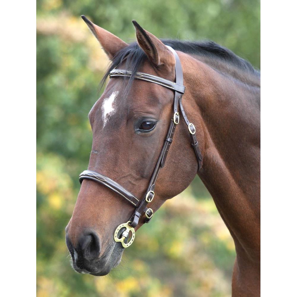 Shires Blenheim Fancy Stitched Inhand Bridle
