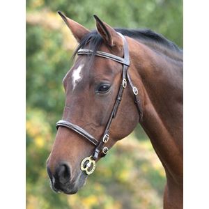 Shires Blenheim Fancy Stitched Inhand Bridle