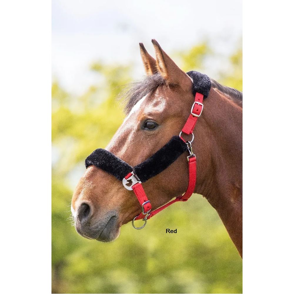 Shires Fleece Lined Headcollar
